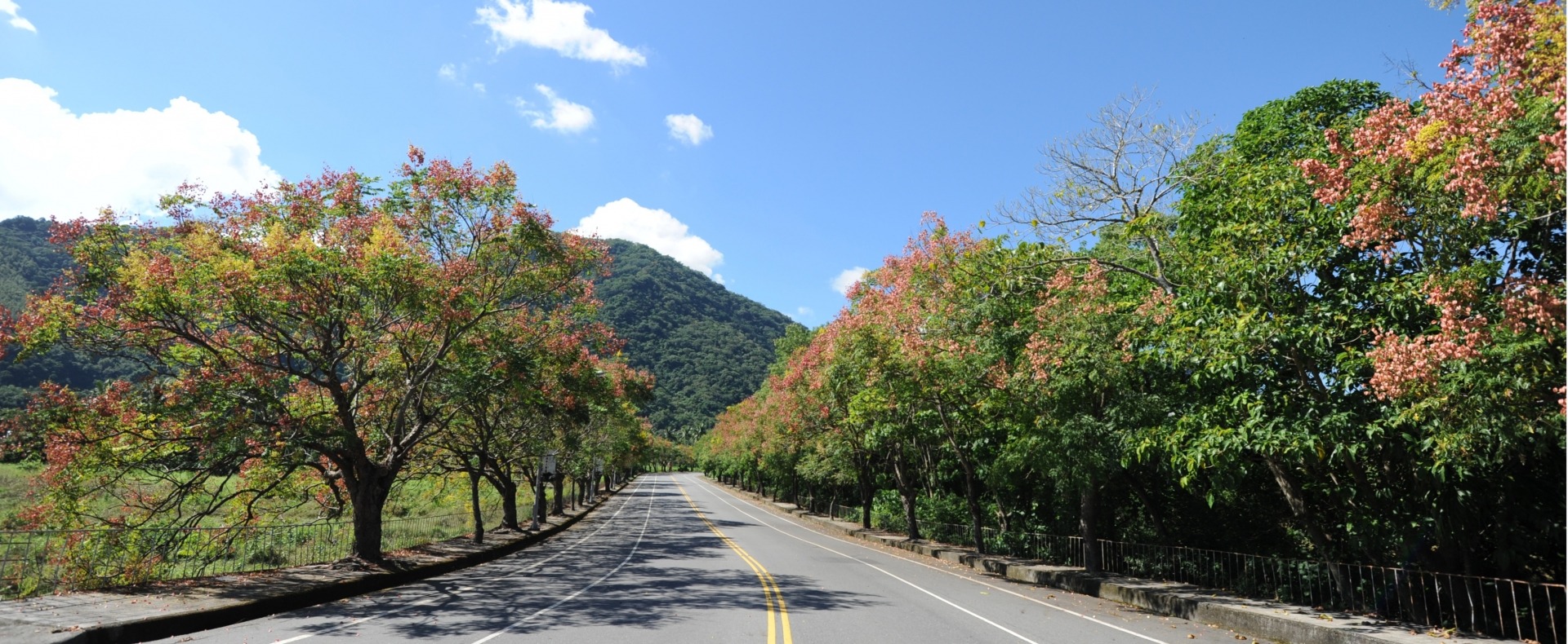 交通旅遊