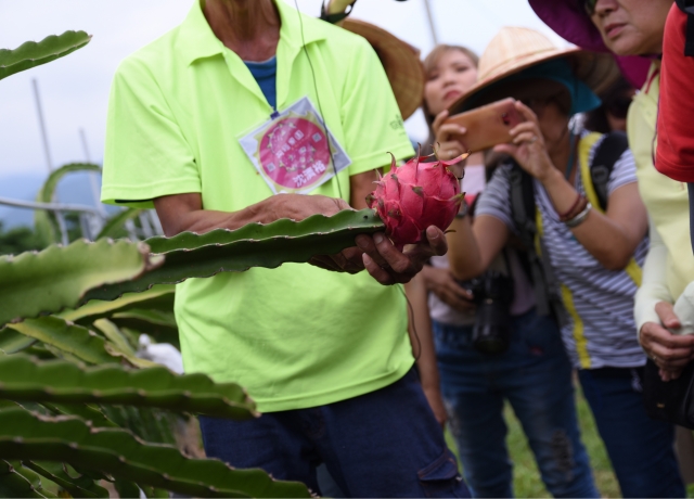 阿裕紅龍果園