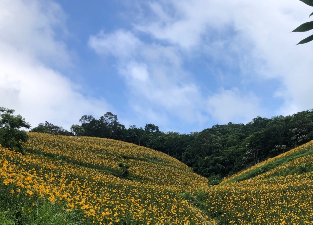 知本天山農場